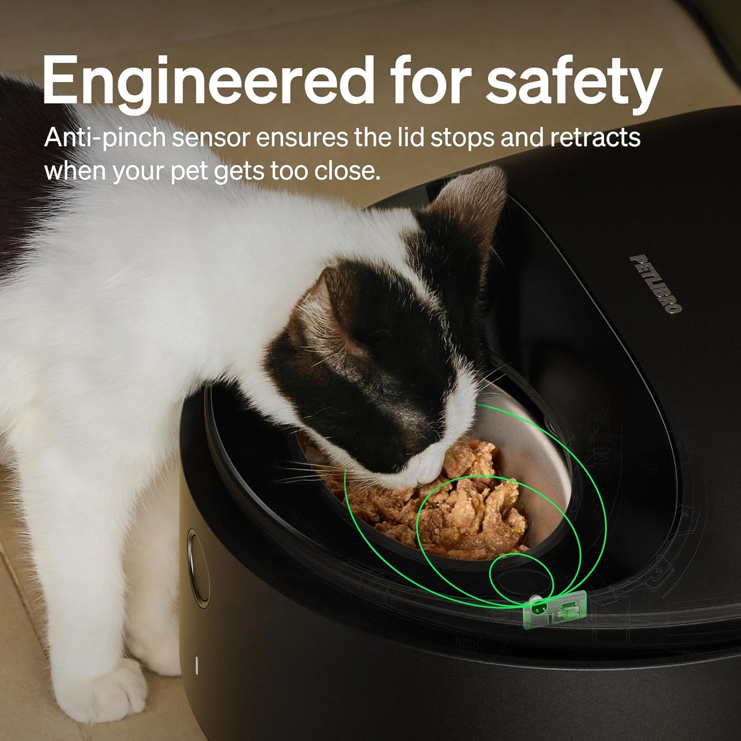 Wet Food Automatic Cat Feeder with Stainless Steel Bowl