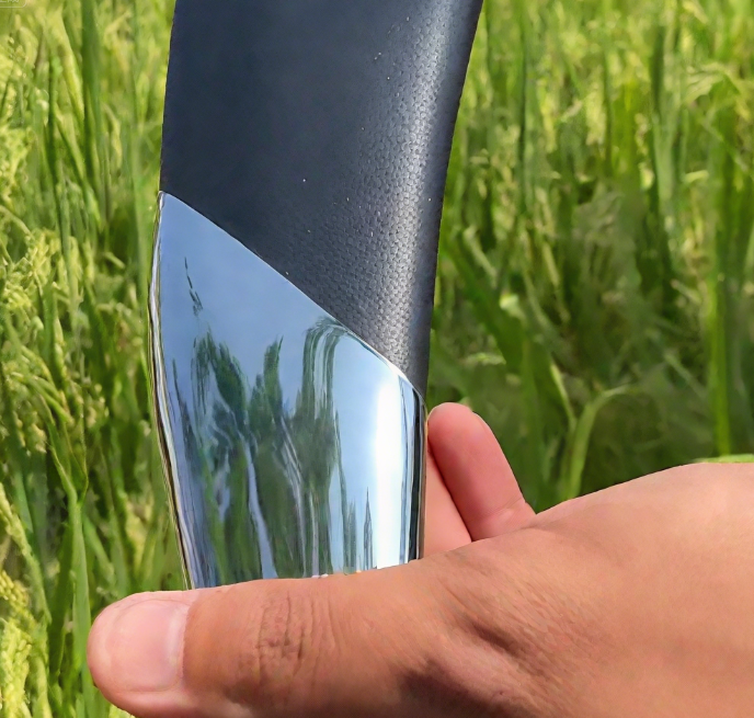 ✨Spartan sword, pure hand-forged fine product