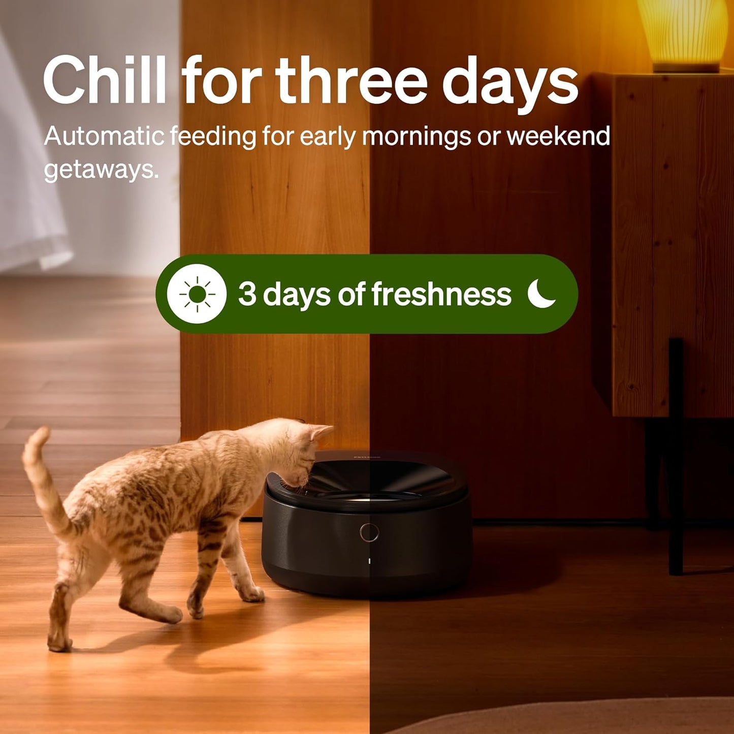 Wet Food Automatic Cat Feeder with Stainless Steel Bowl