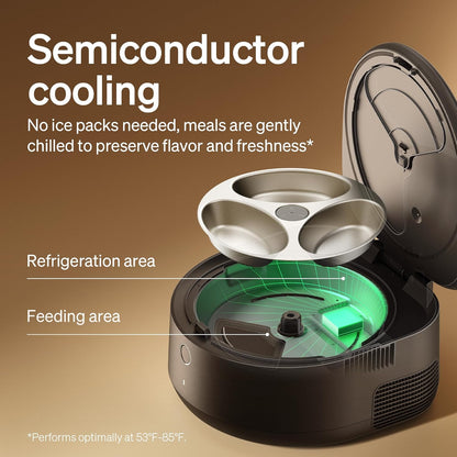 Wet Food Automatic Cat Feeder with Stainless Steel Bowl